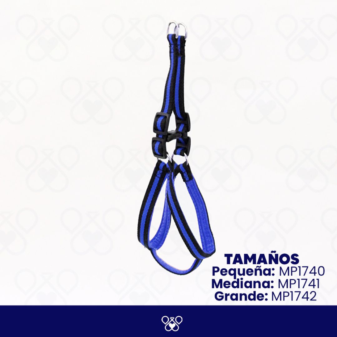 MP174-
