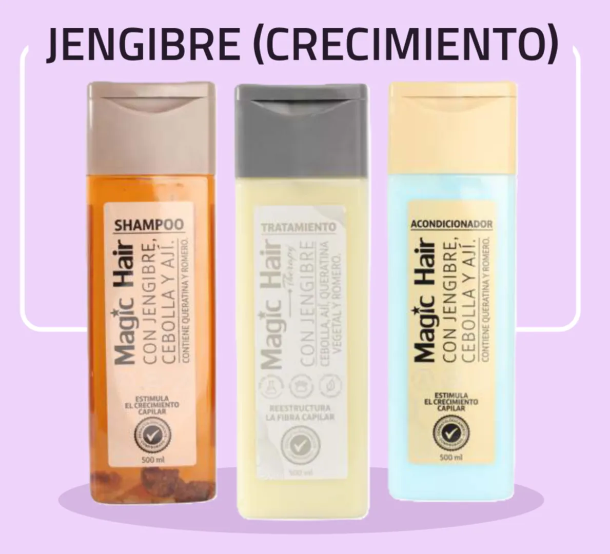 Kit crecimiento de gengibre 