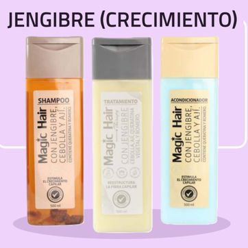Imagen del producto Kit crecimiento de gengibre 
