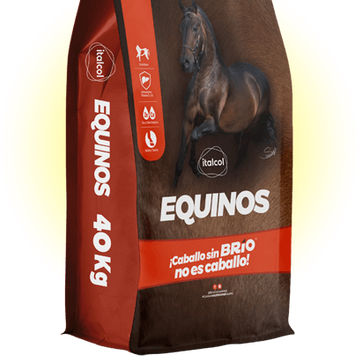 Imagen del producto ITALCON  EQUINOS 40 Kilos