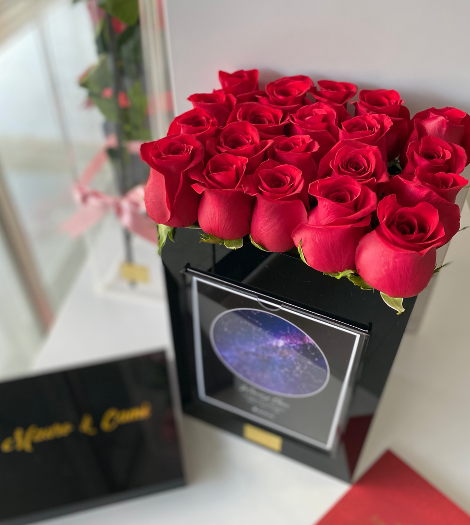 MAPA ESTELAR TRADICIONAL