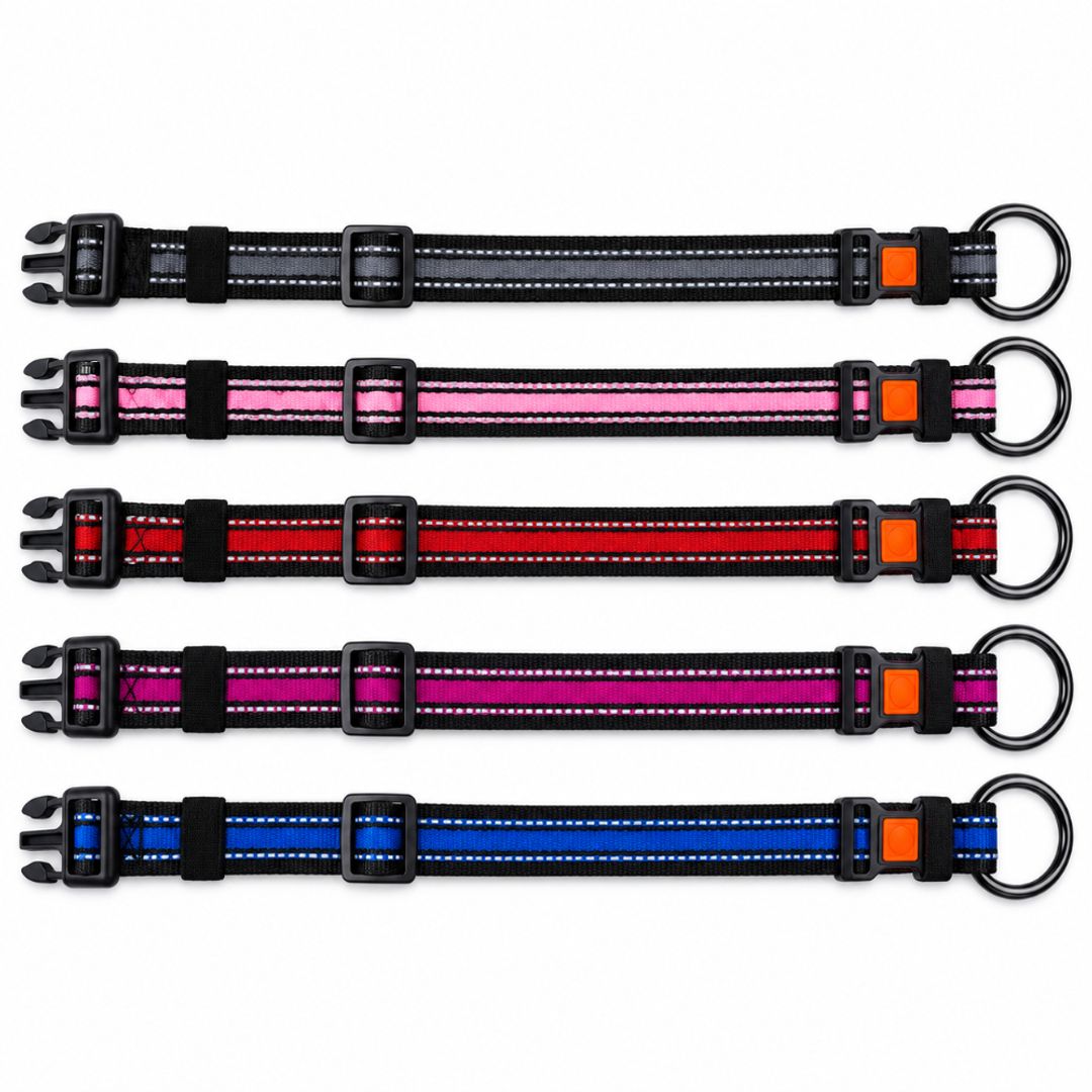 Collar para mascota