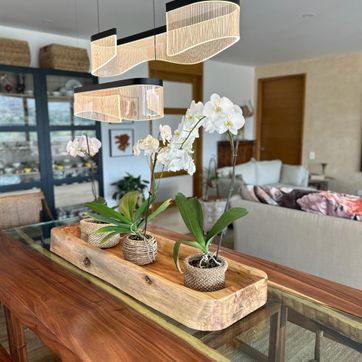 BATEA CANOA  - imagen 1