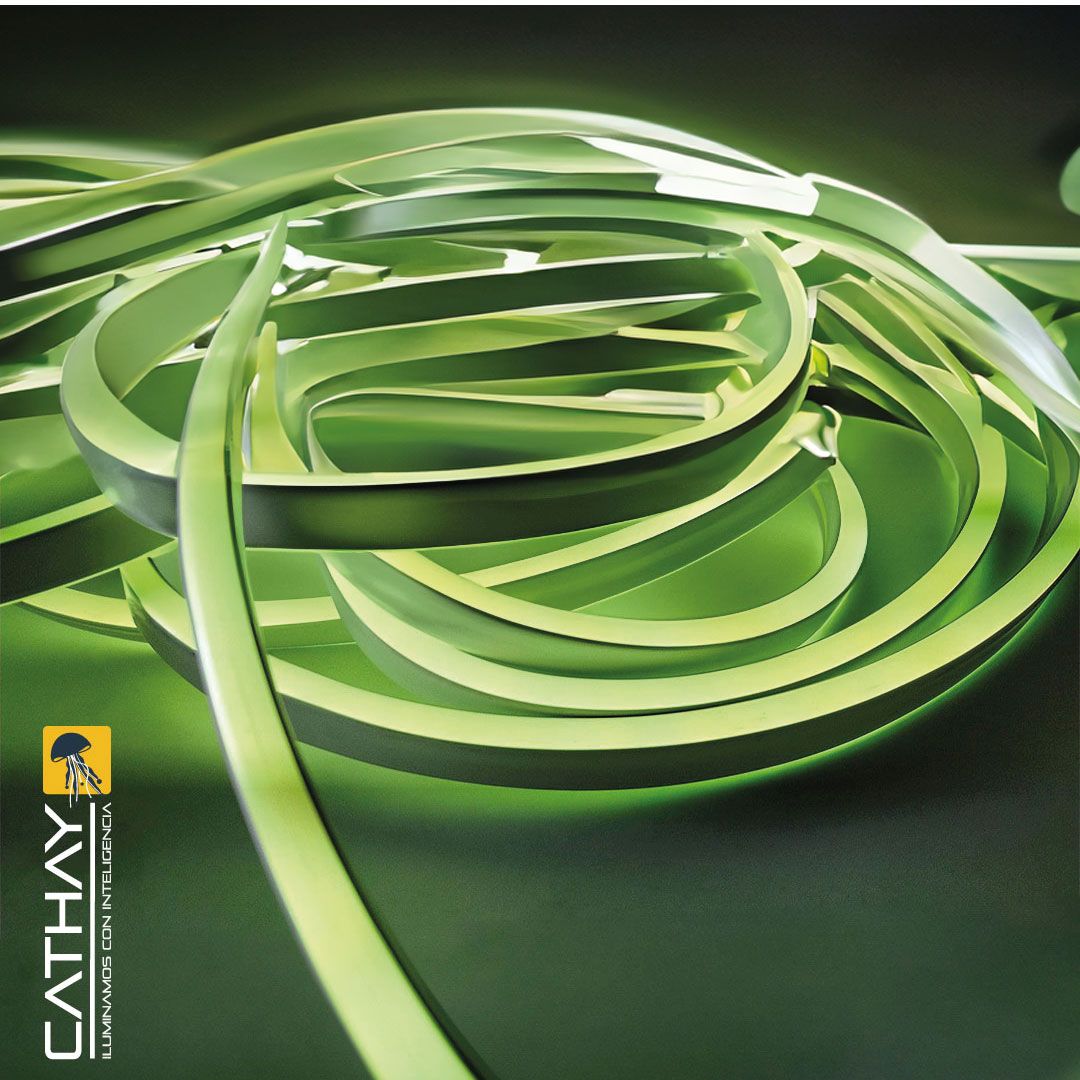 NEON DOBLE FAZ x METRO 11