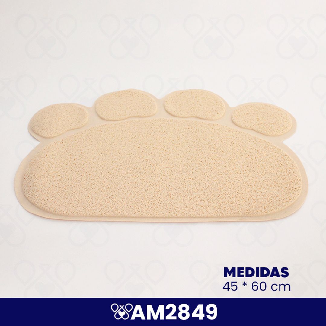 AM2849