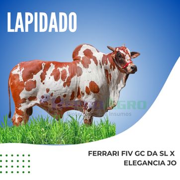 LAPIDADO - imagen 1