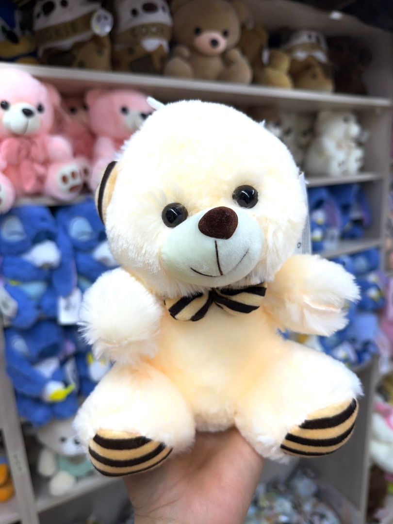 OSO ANCHETERO ANIMALES Y OSOS