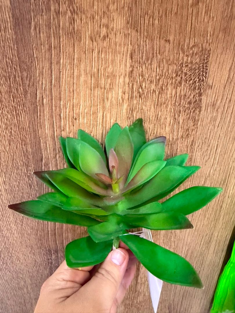SUCULENTA ESTILO FLOR VERDE