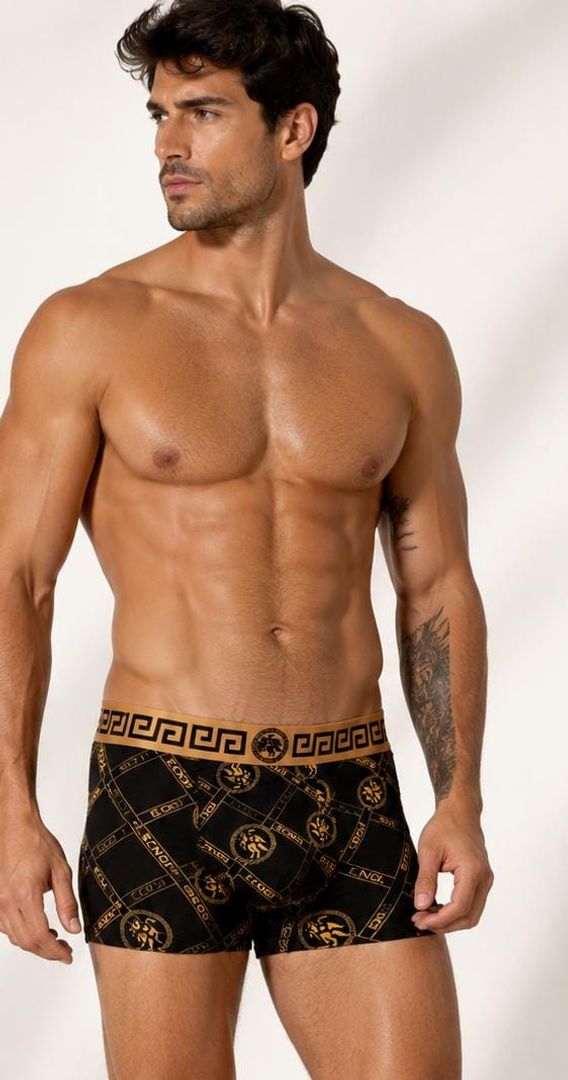 Boxer 