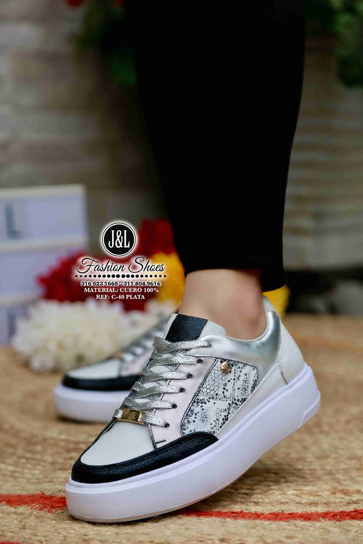 C-40 PLATA