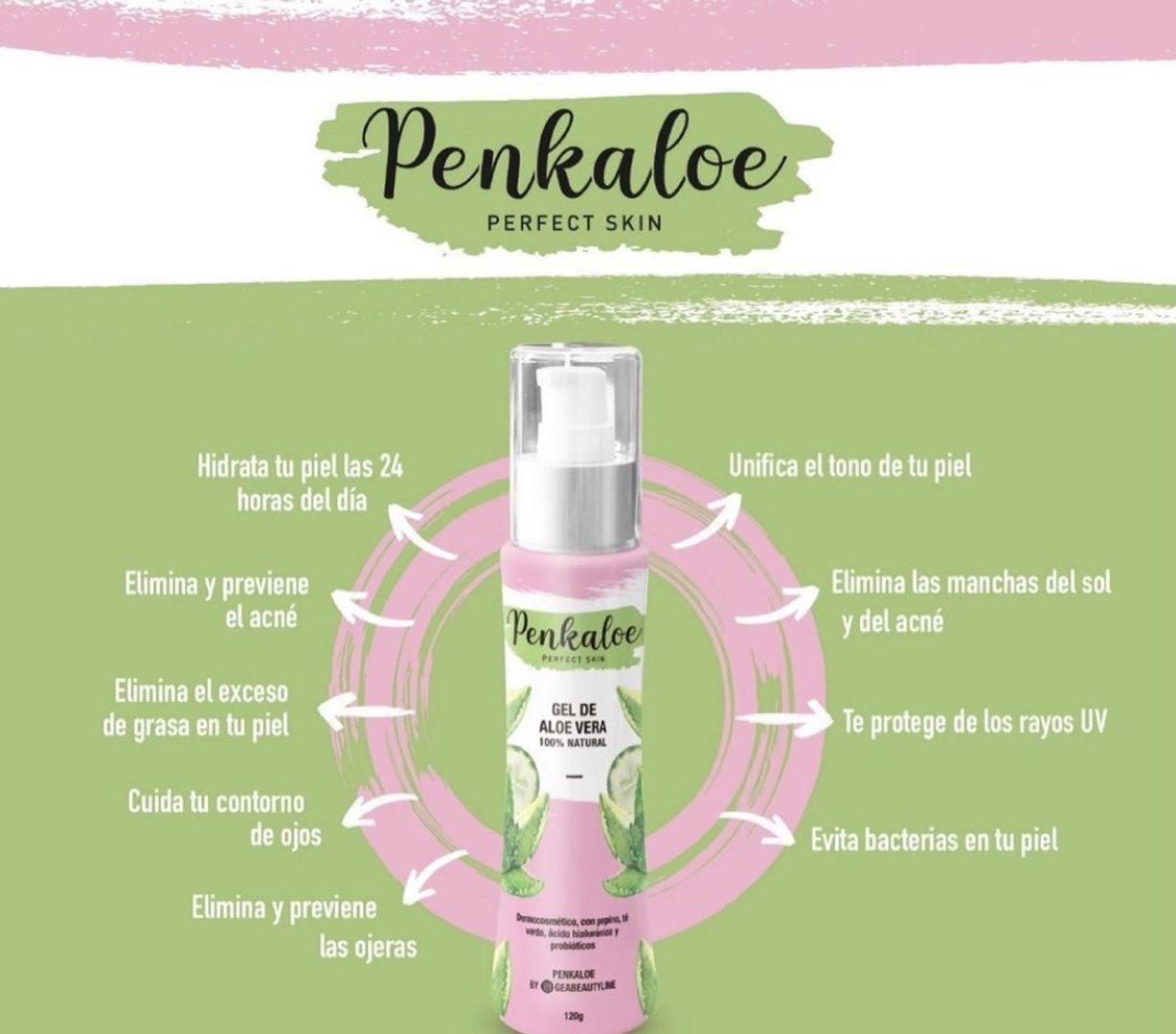 Gel Aloe Vera Penkaloe