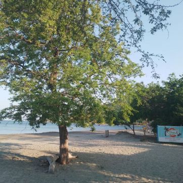 PLAYA DEL RITMO BEACH HOSTEL  - imagen 8