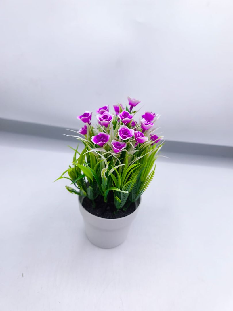 MATERO FLORES JM009