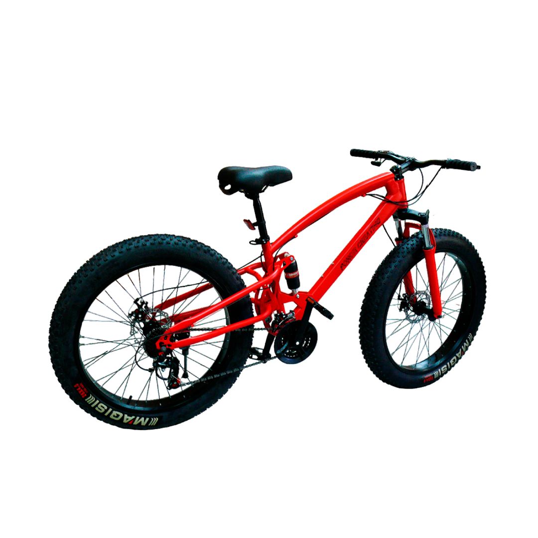 BICICLETA PC 00068ª