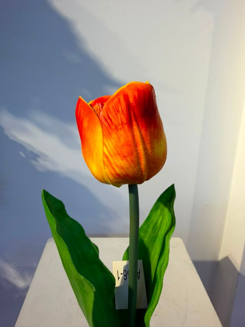 TULIPAN EN ESPUMADO NARANJA