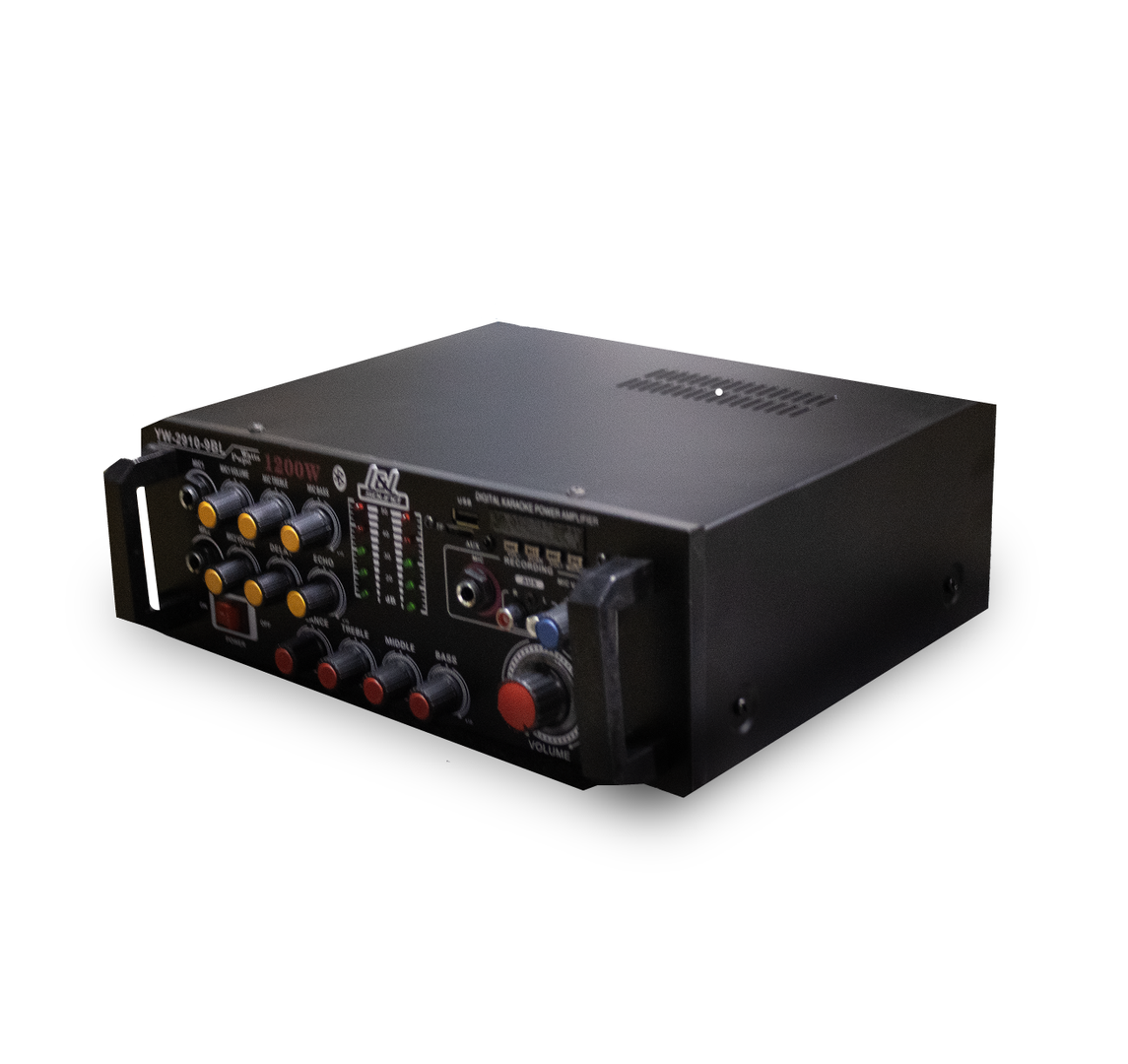 AMPLIFICADOR MINI YW2910 9BL LYL SOUND 
