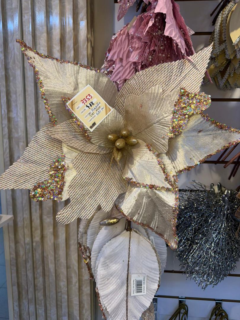 PONSETIA GIGANTE ORO ROSA