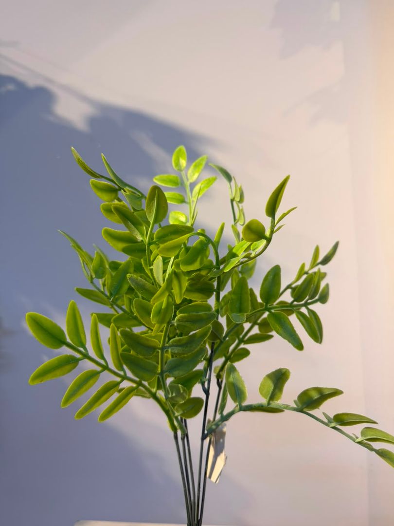 FOLLAJE VERDE