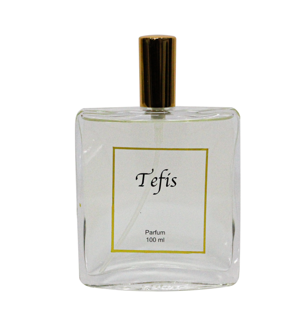 EL RECETARIO TEFIS 100 ml FEMENINA 