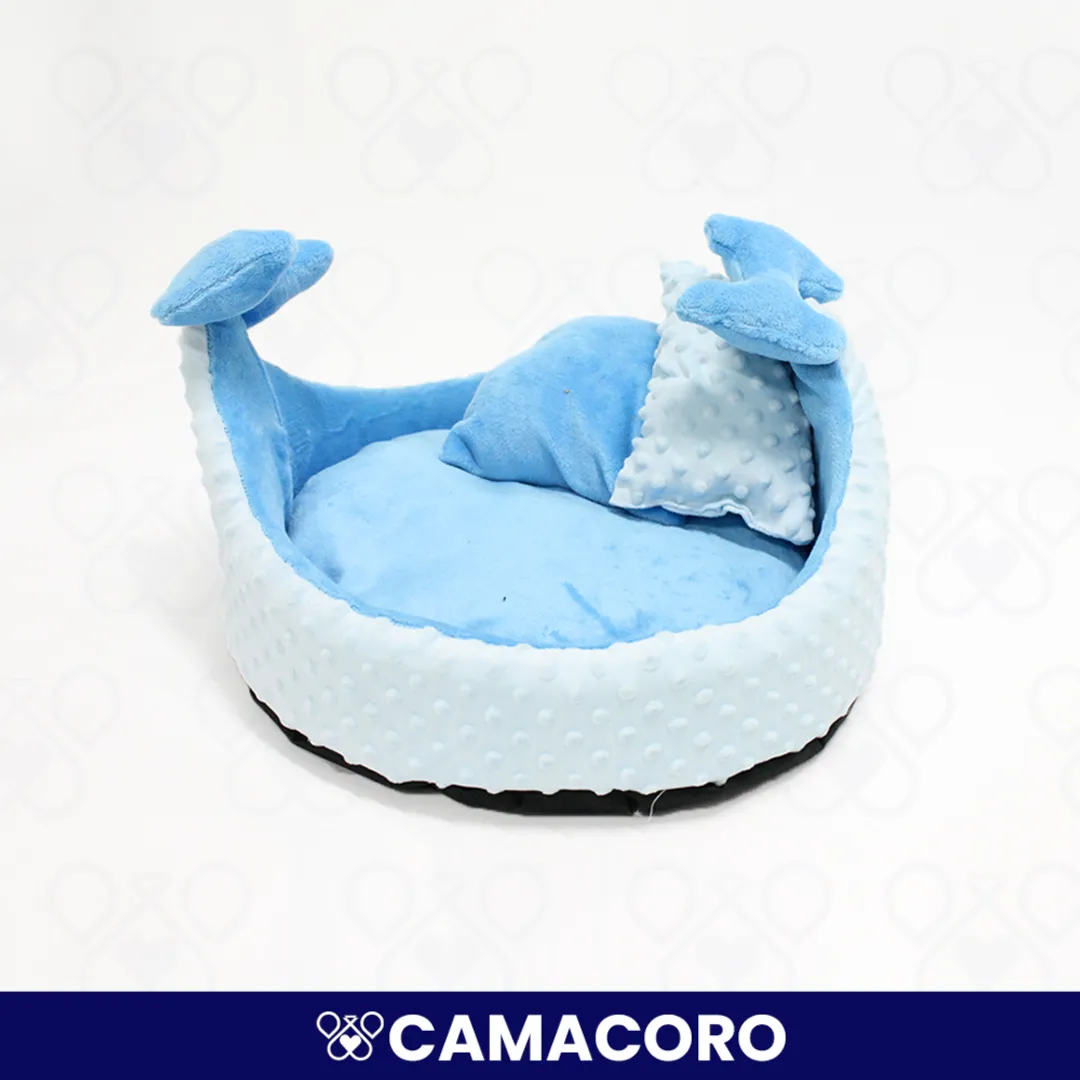 CAMACORO