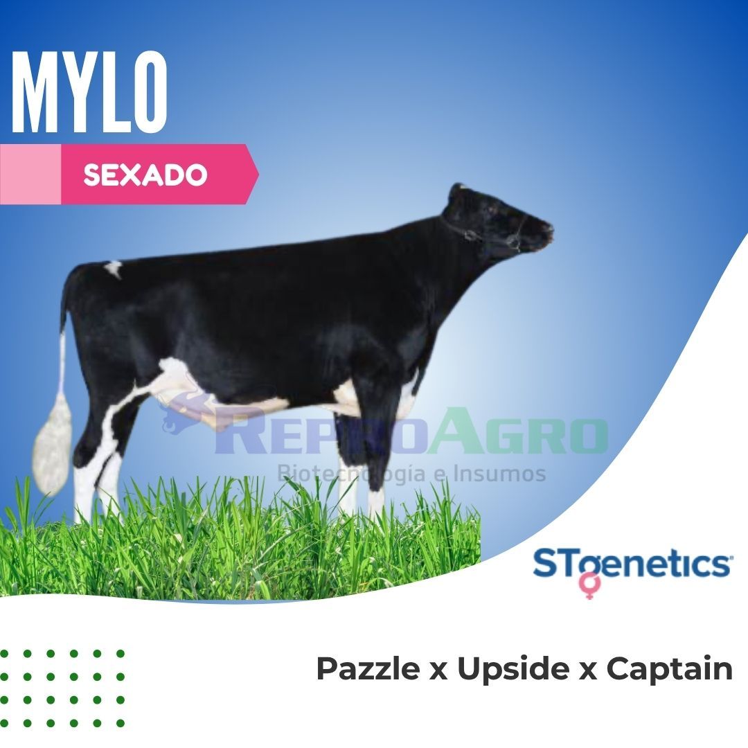 MYLO SEXADO