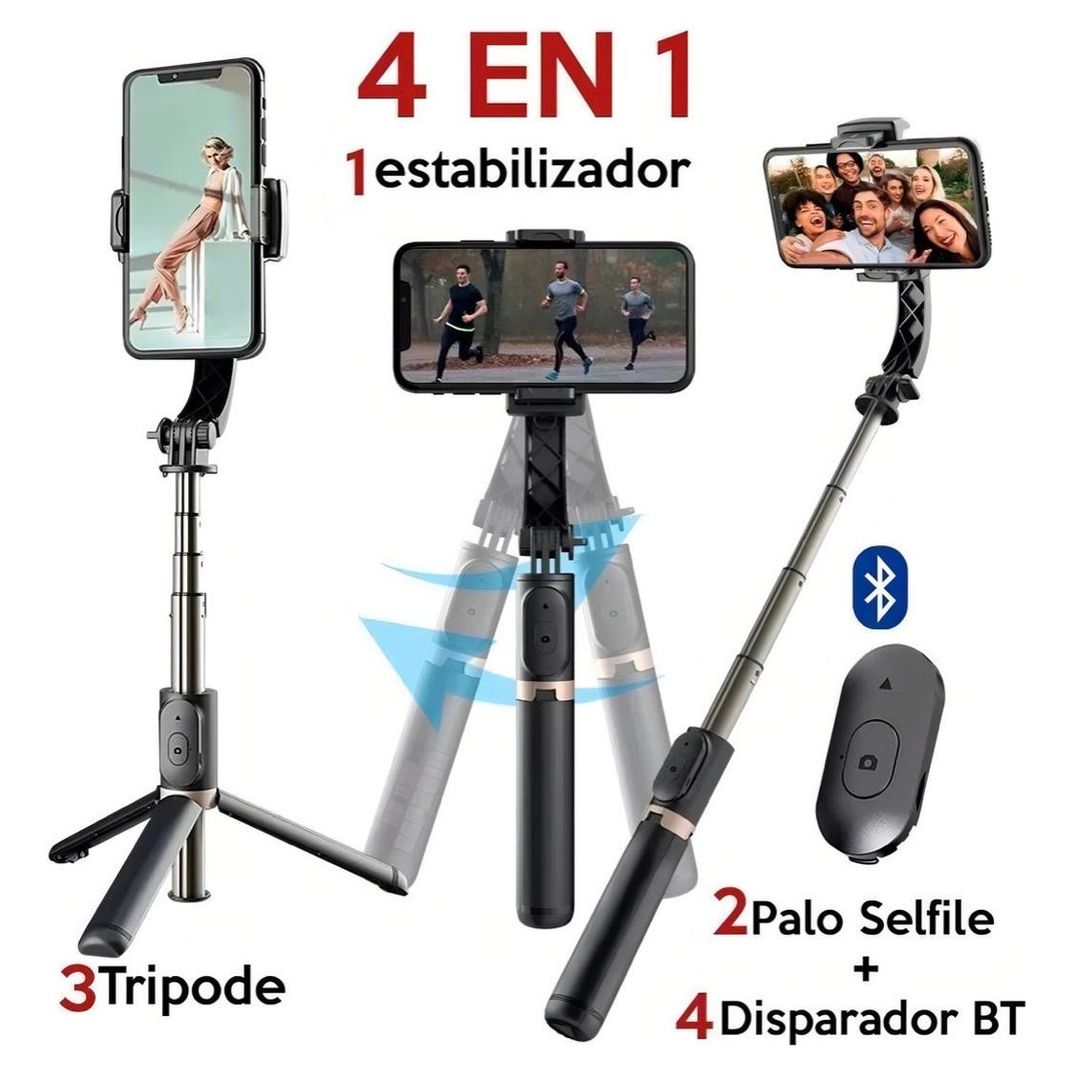 Estabilizador Q08