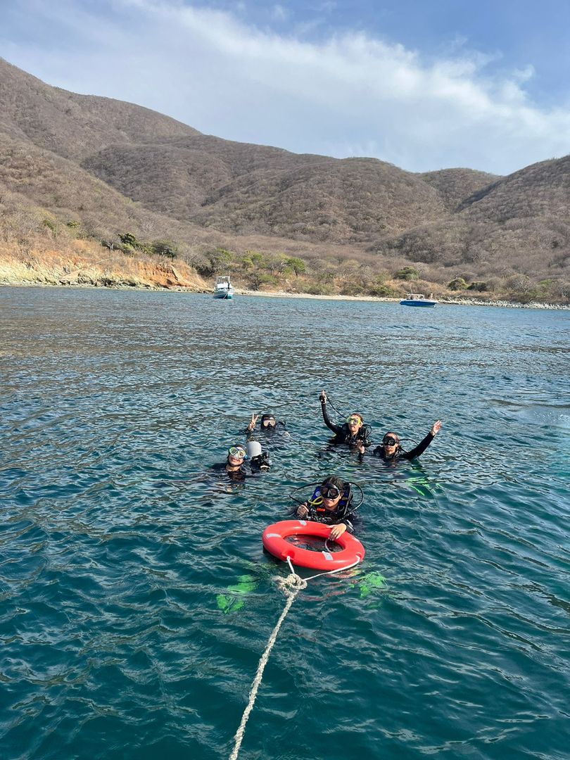 BUCEO - MINI CURSO