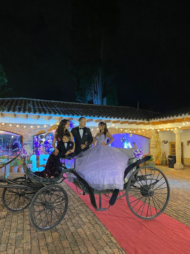 ALQUILER DE CARRUAJE CON CABALLO PARA EVENTO