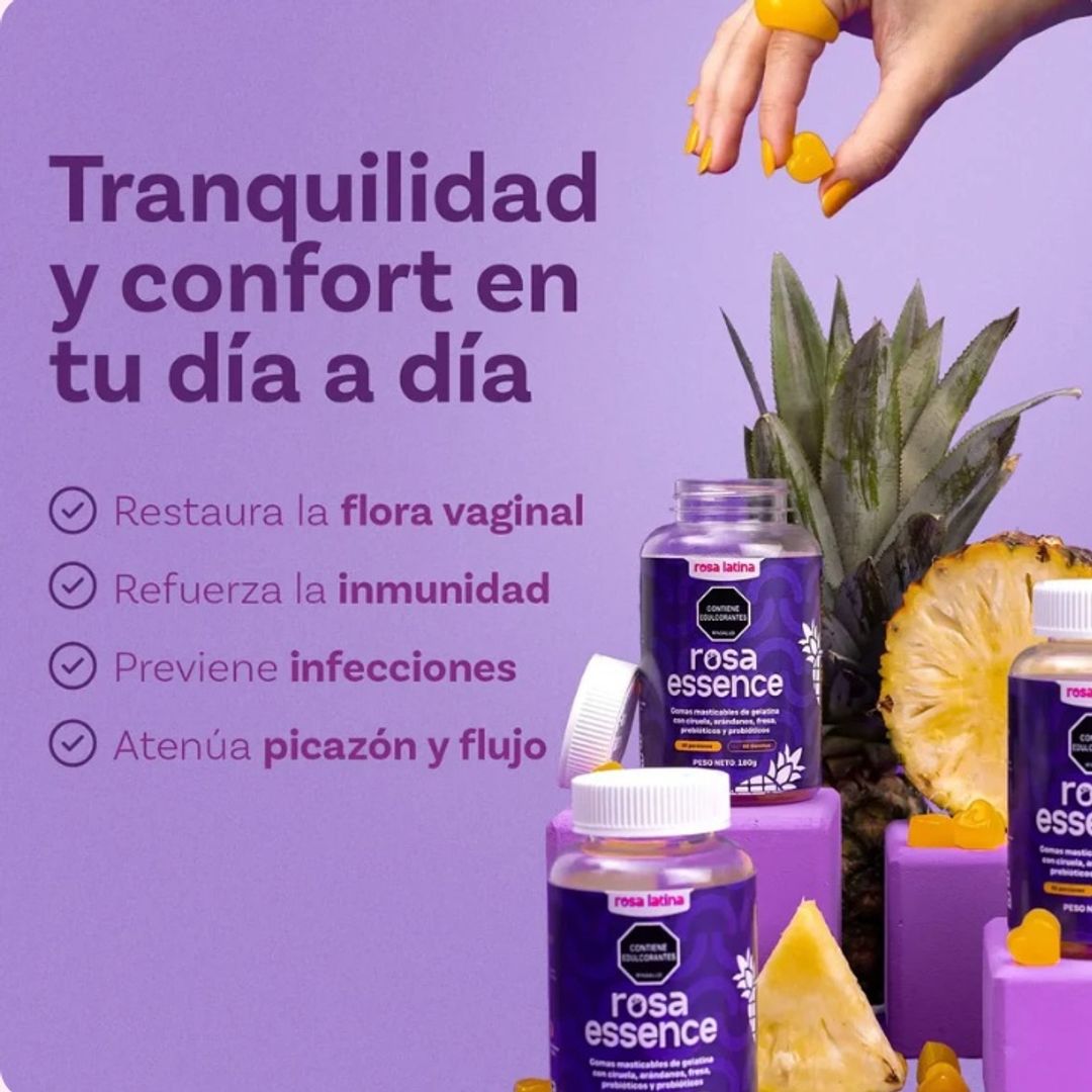 Rosa Essence 60 GOMAS