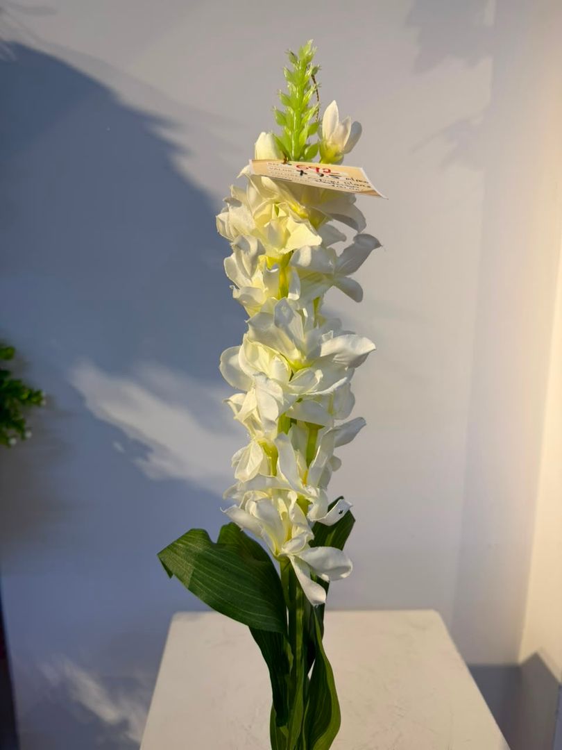 DELFINIO BLANCO EN VARA
