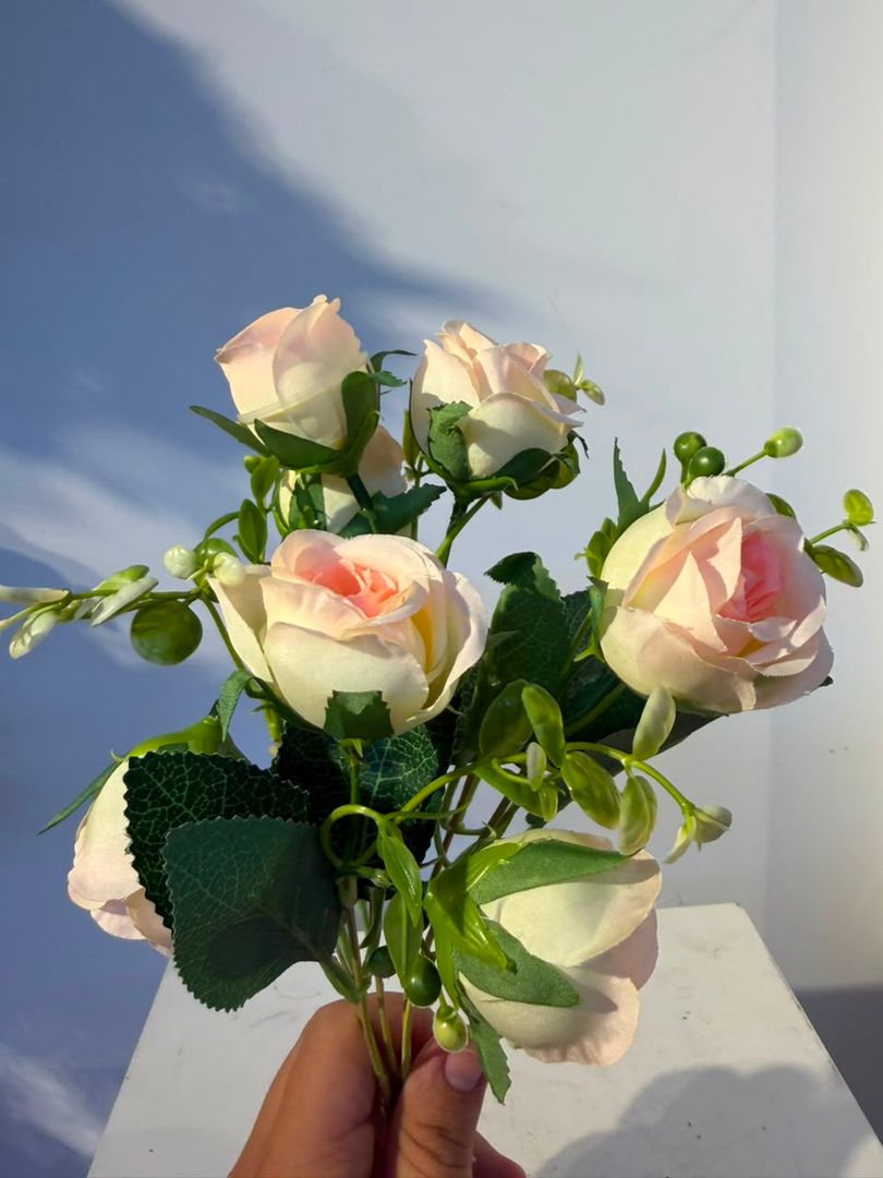 MINI ROSA X 5 CRUBA CLARA