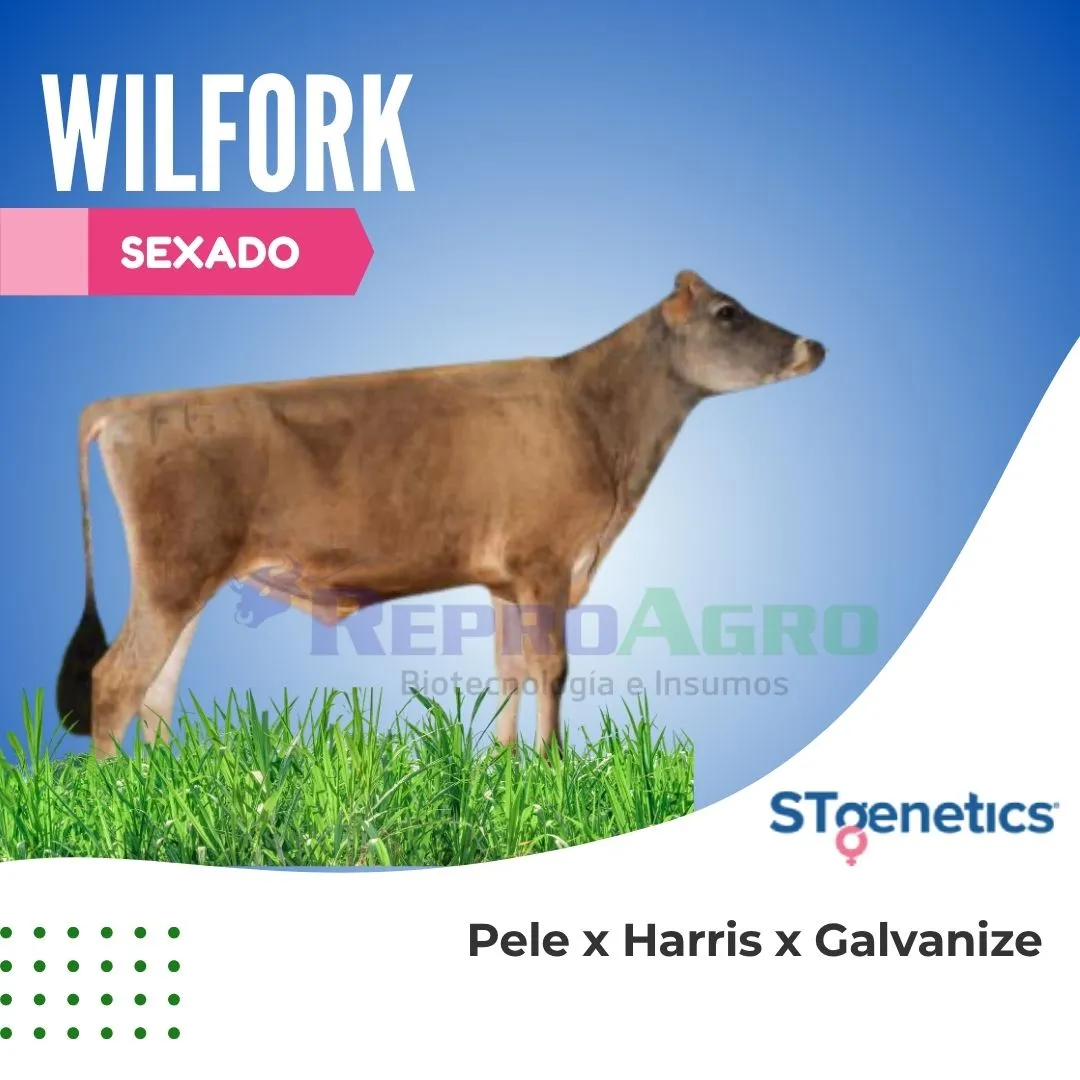 WILFORK SEXADO