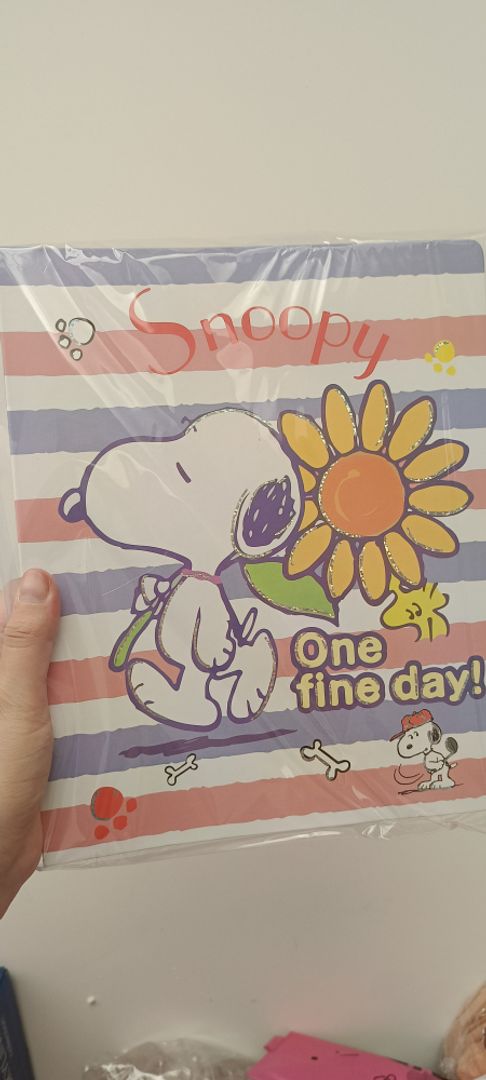 Folder snoppy