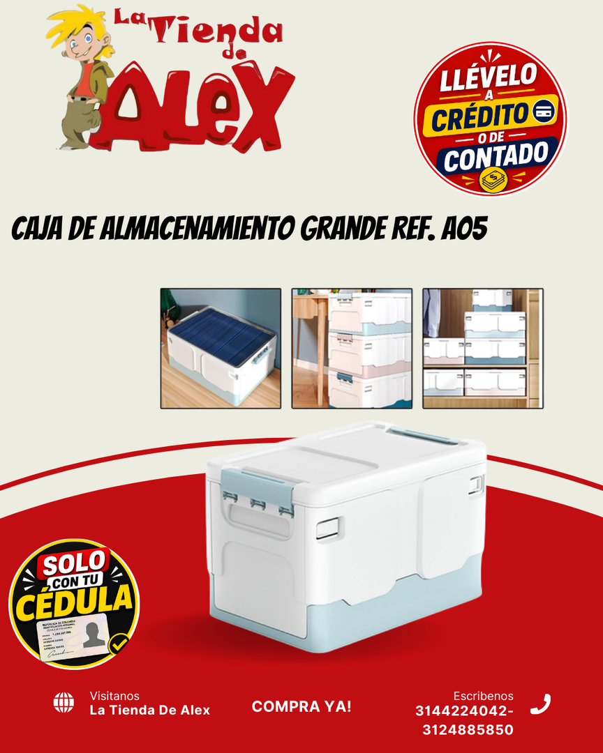 Caja de Almacenamiento Grande Ref. A05