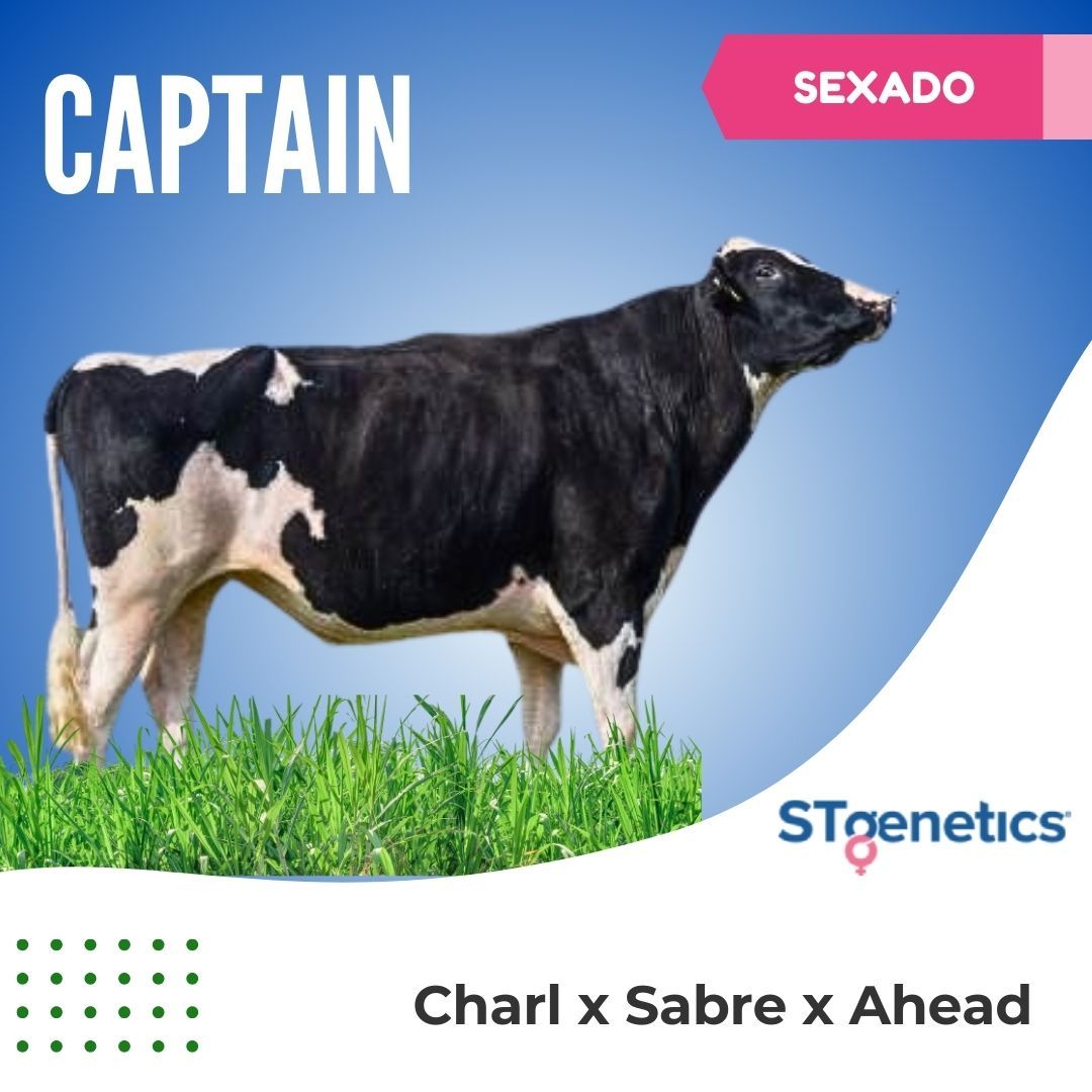 CAPTAIN SEXADO