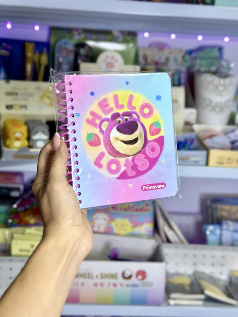 AGENDA MEDIANA LOTSO PRIMAVERA