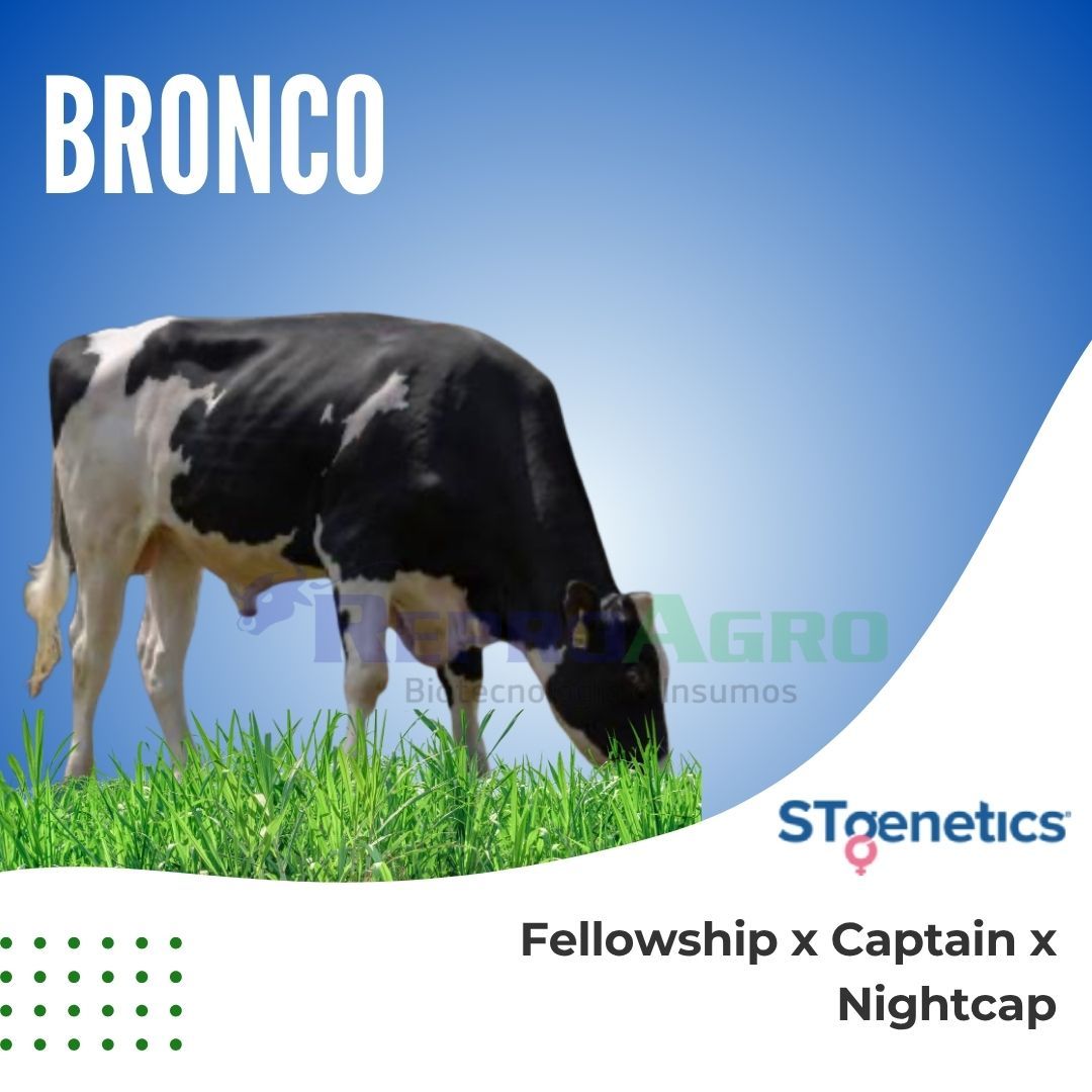 BRONCO