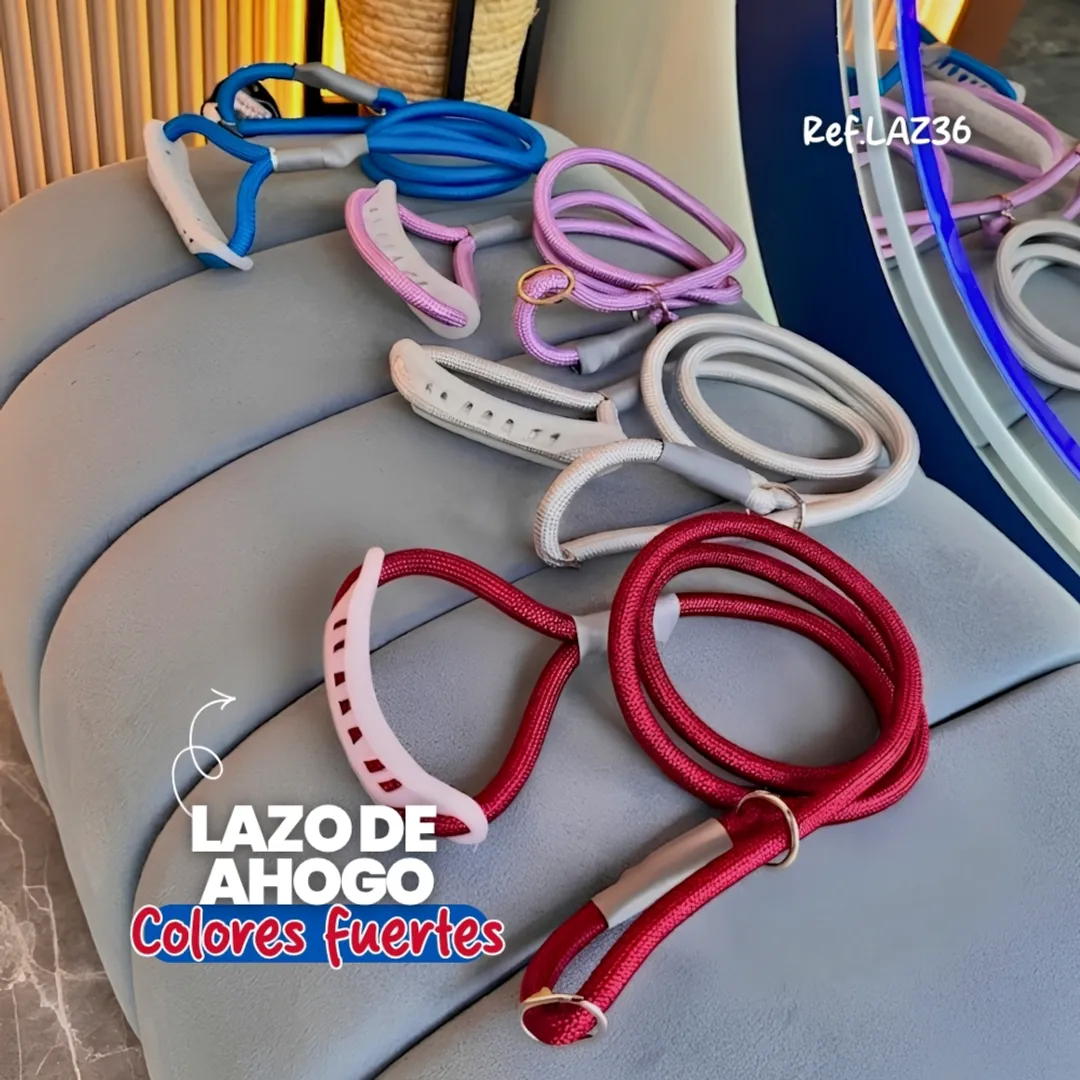 LAZ36