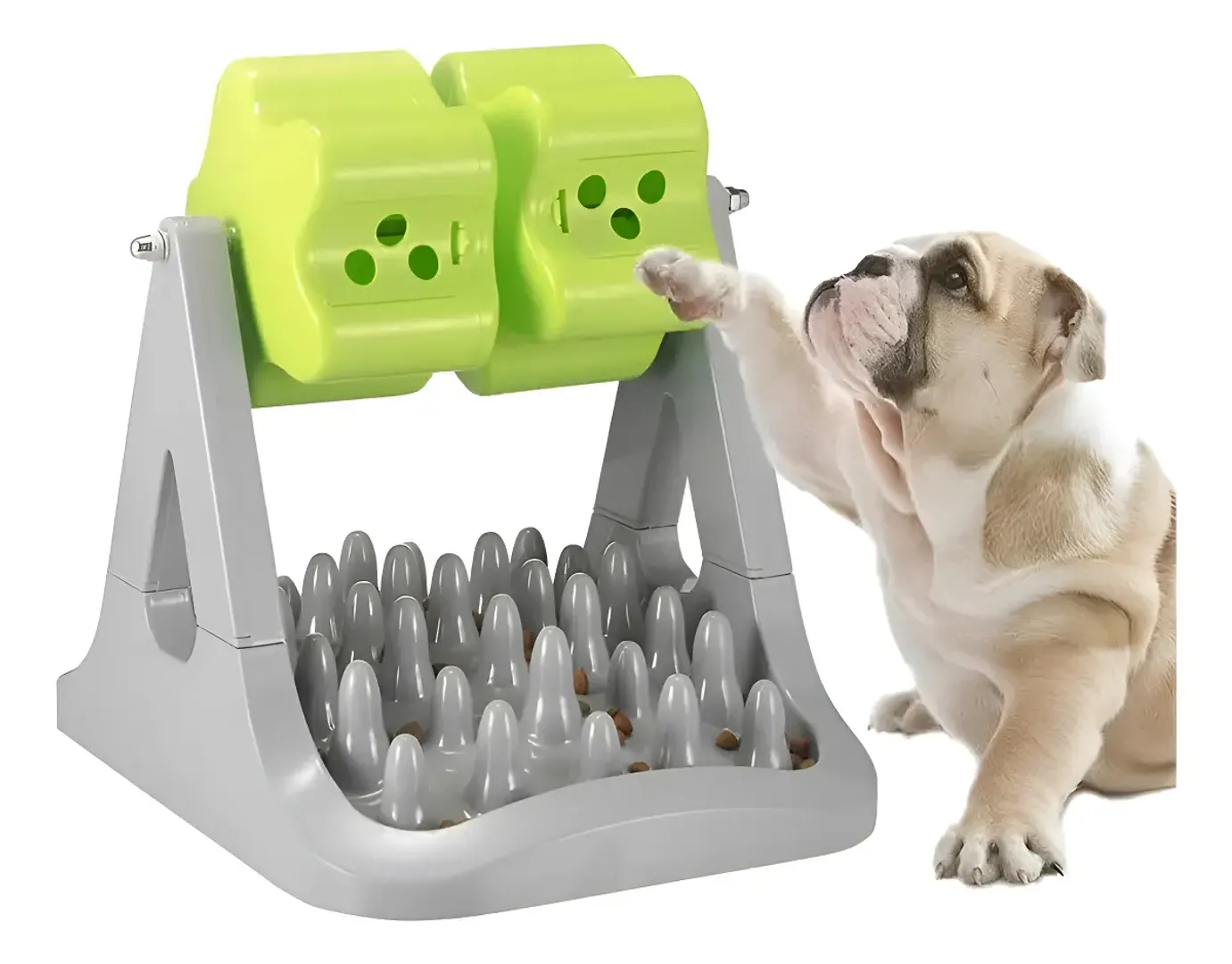 Comedero Interactivo mascotas