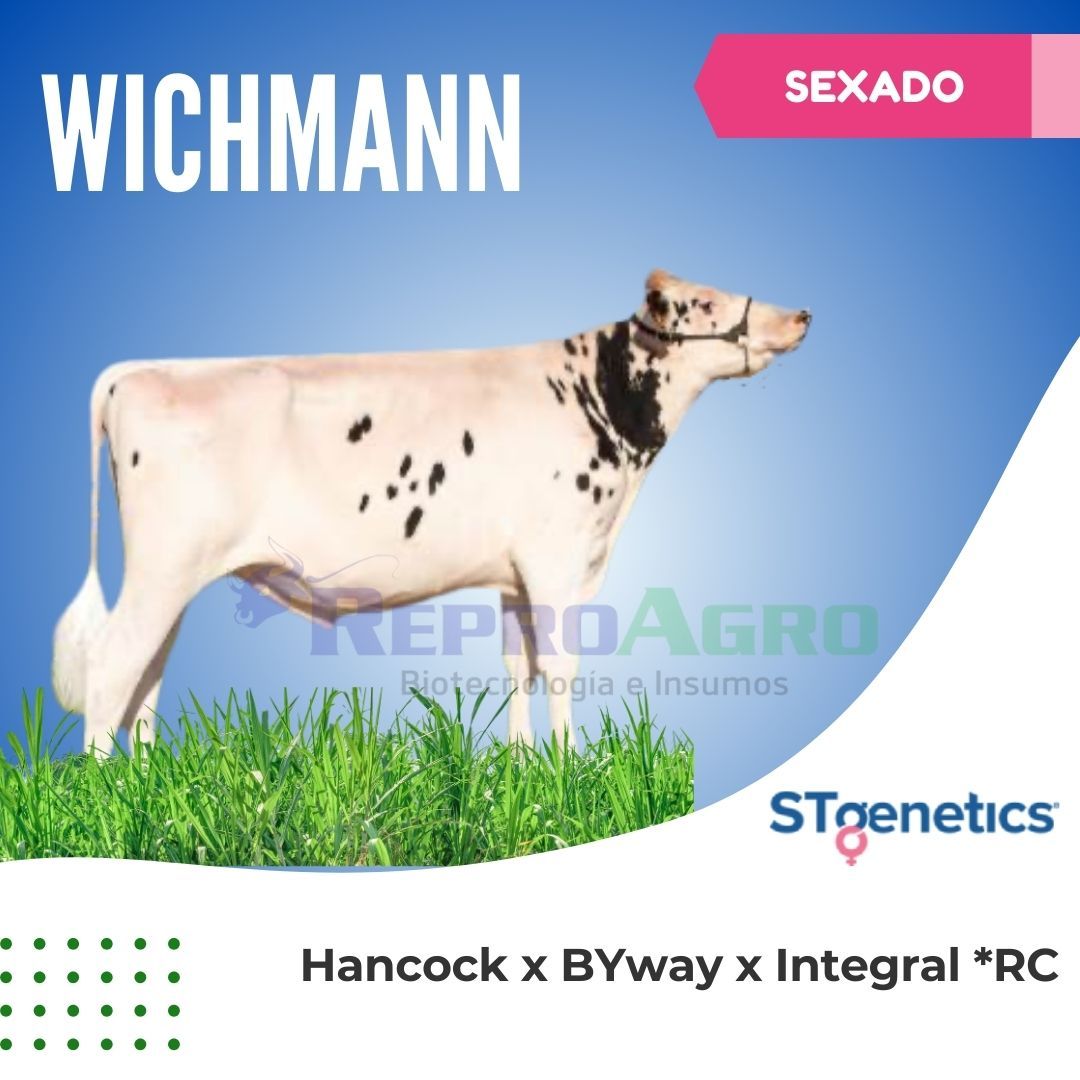 WICHMANN SEXADO