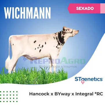 WICHMANN SEXADO - imagen 1