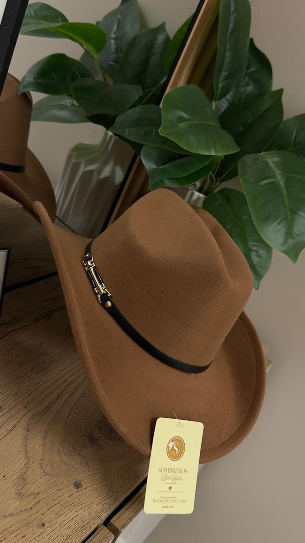 SOMBRERO TIPO FIELTRO 1