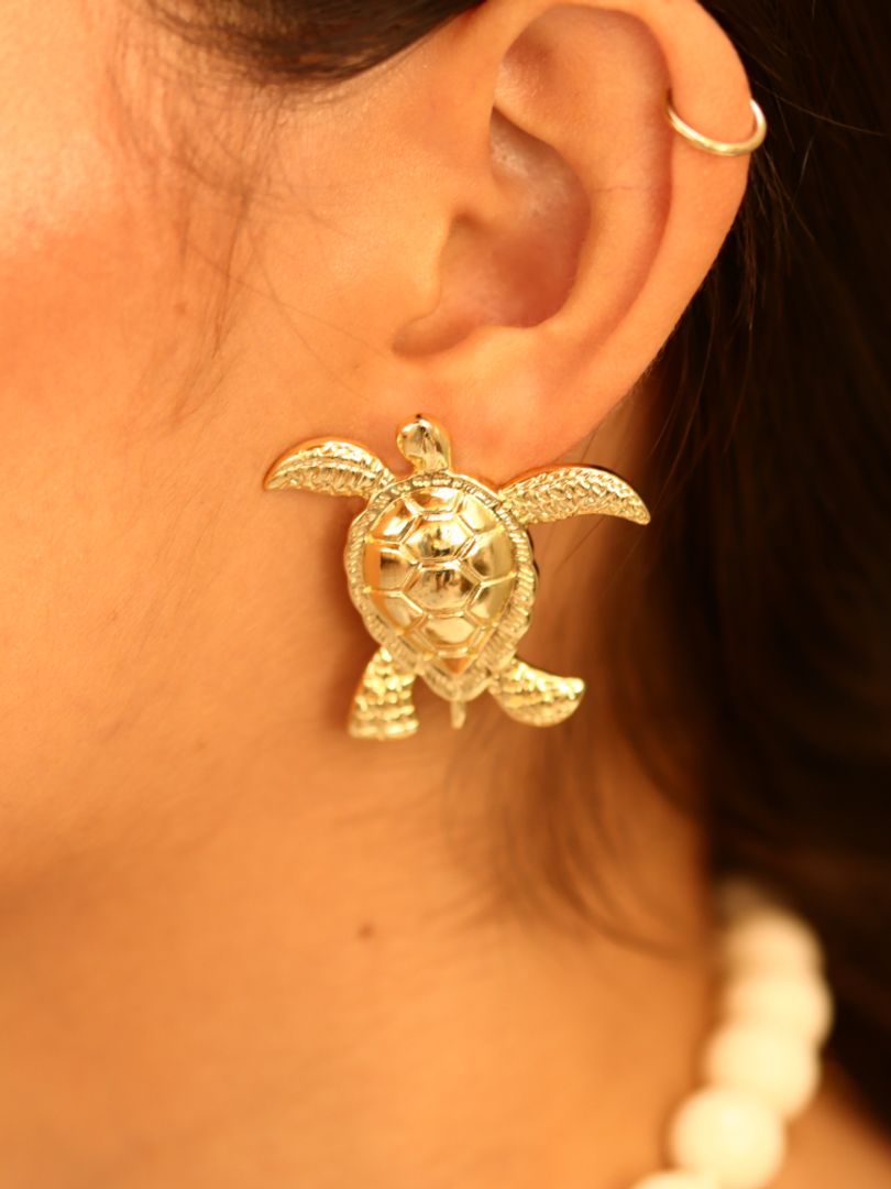 Arete Tortugas