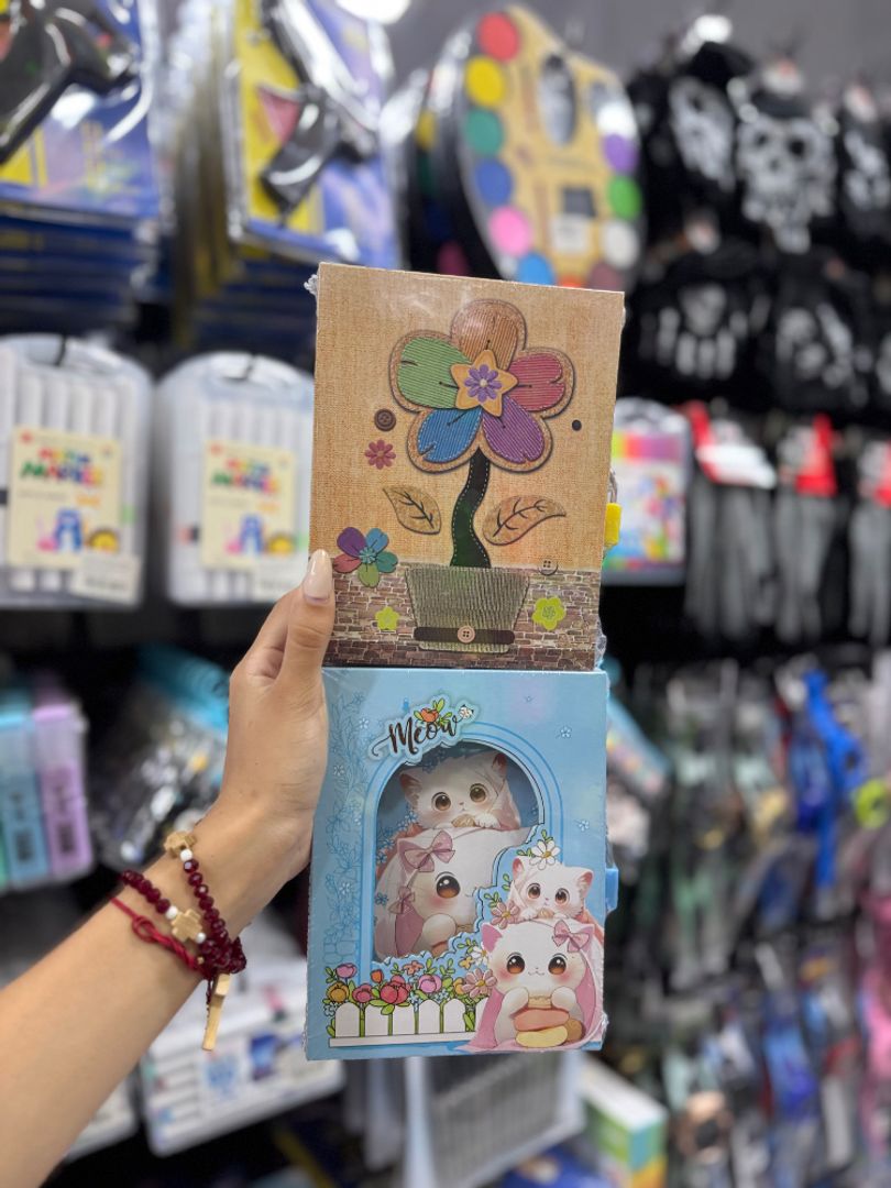 Diario Ilustrado Infantil con Candado