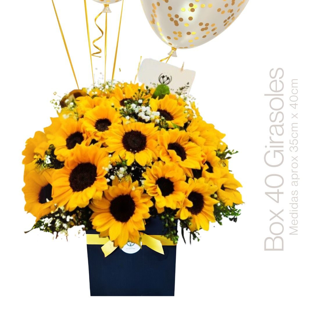BOX ESPECIAL GIRASOLES 