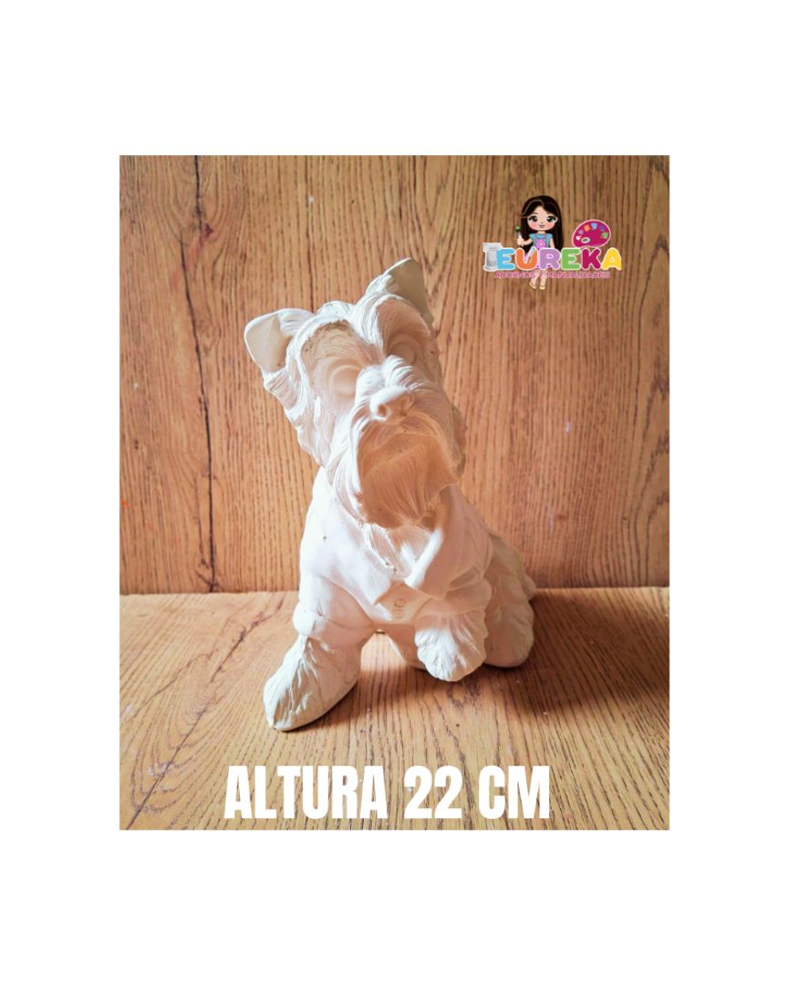 PERRO CAMISA 2
