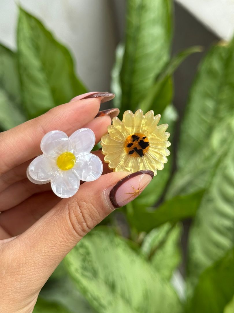 MINI FRUITS ACETATO