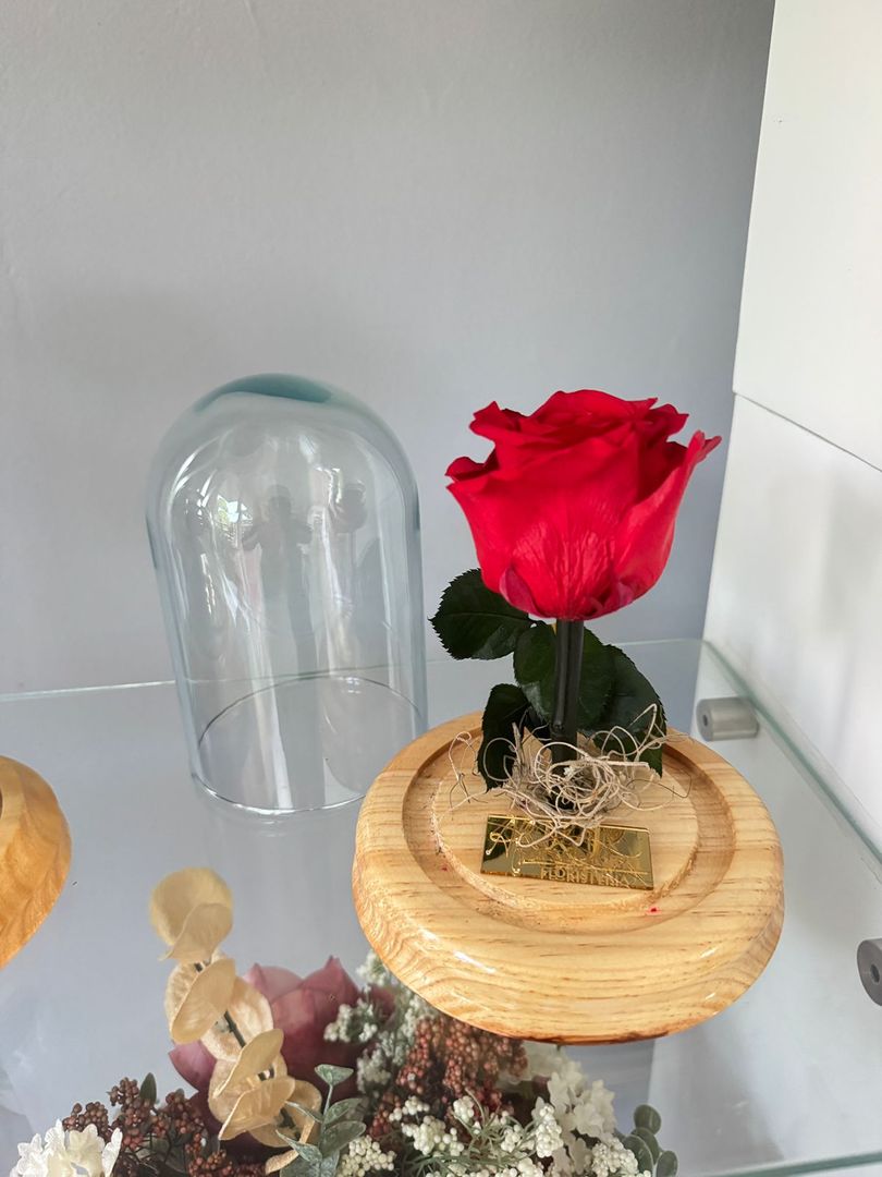 Rosa preservada Pequeña