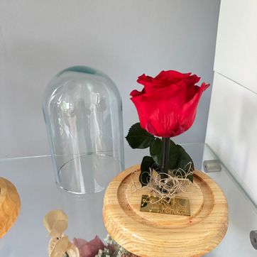 Imagen del producto Rosa preservada Pequeña