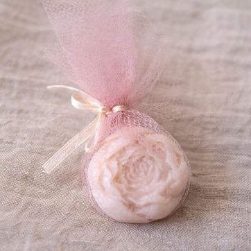 Mini Peonia  - imagen 1